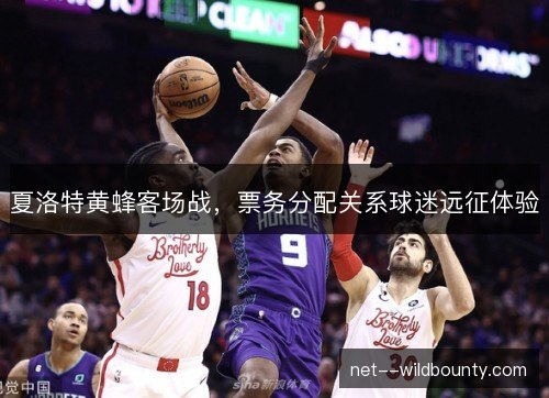 夏洛特黄蜂客场战，票务分配关系球迷远征体验