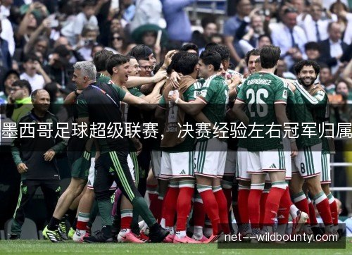 墨西哥足球超级联赛,决赛经验左右冠军归属 墨西哥足球超级联赛,决赛经验左右冠军归属